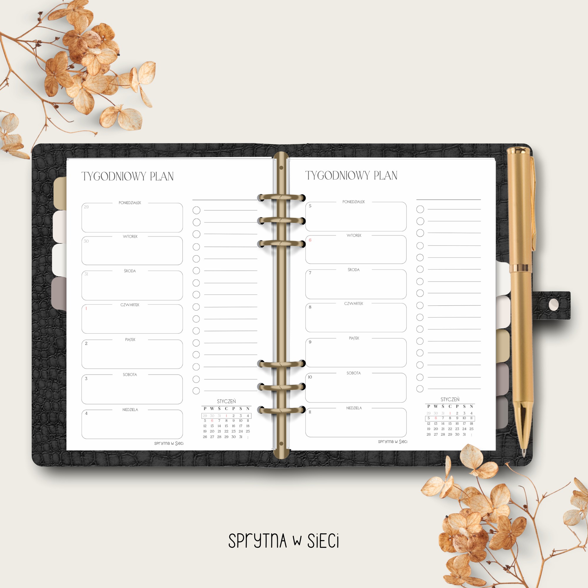 2026 TYGODNIOWY PLAN